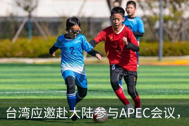 台湾应邀赴大陆参与APEC会议，表面强硬下的隐秘考量