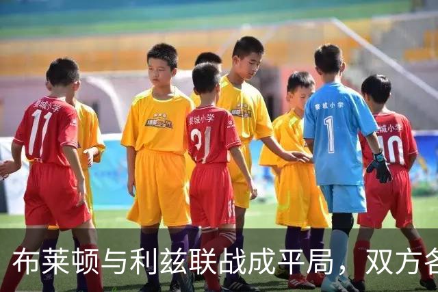 布莱顿与利兹联战成平局，双方各有进球