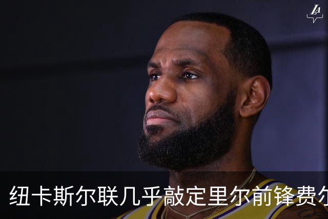 纽卡斯尔联几乎敲定里尔前锋费尔南德斯-帕尔多的加盟