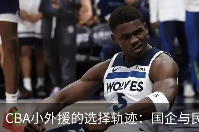 CBA小外援的选择轨迹：国企与民企的角逐