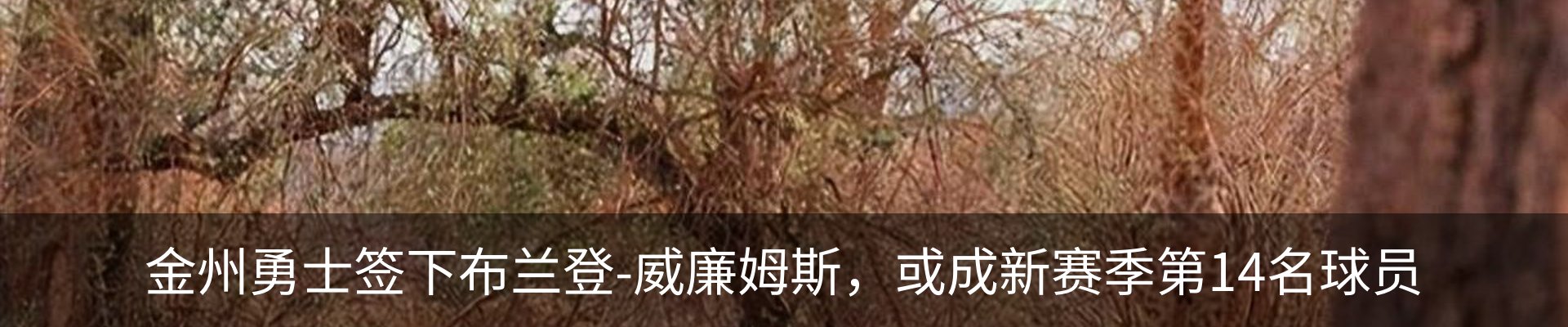 最新动态