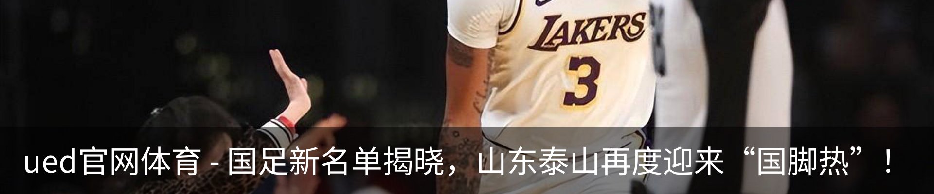 最新动态