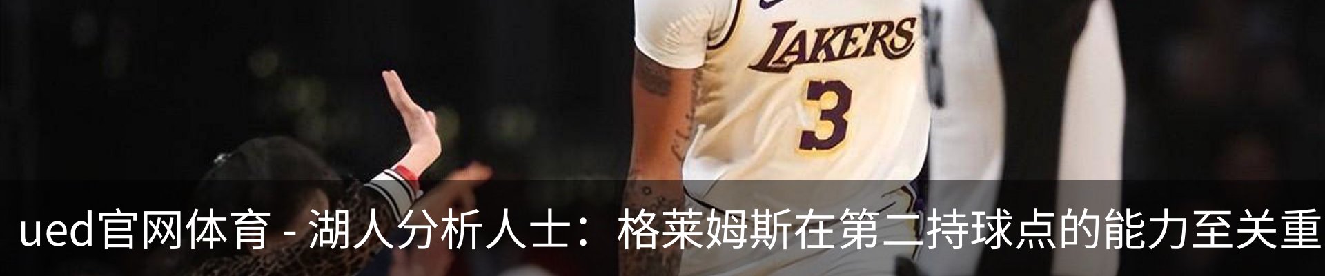 最新动态
