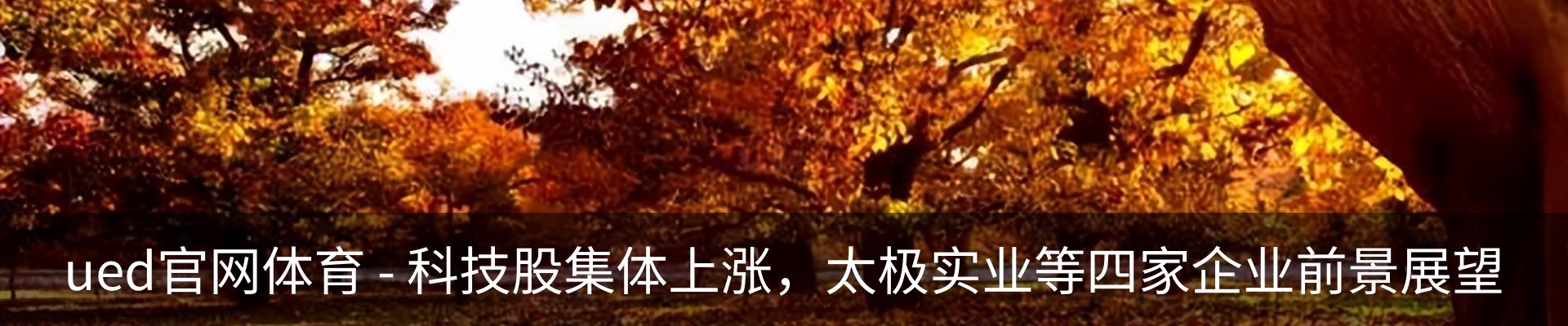 最新动态