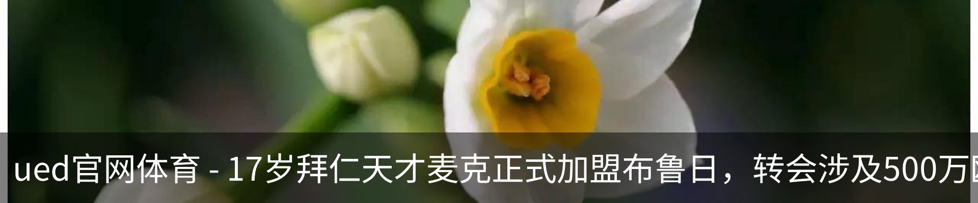 最新动态